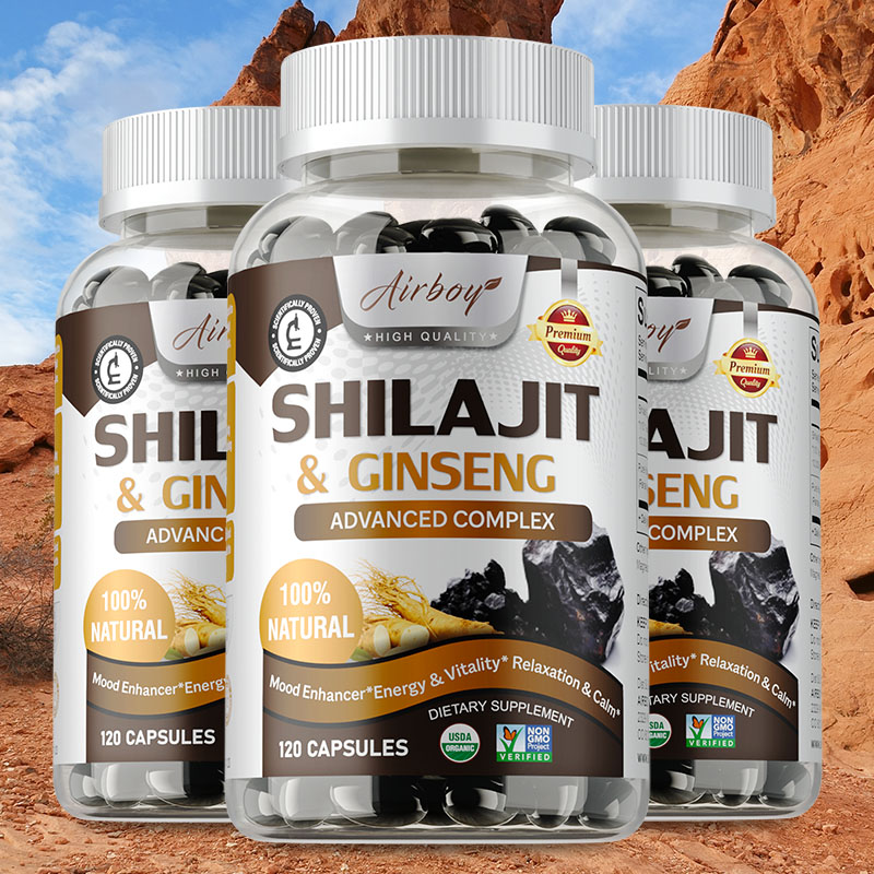 Ginkgo Biloba Extract - Shilajit & Ginseng - Dukungan Energi