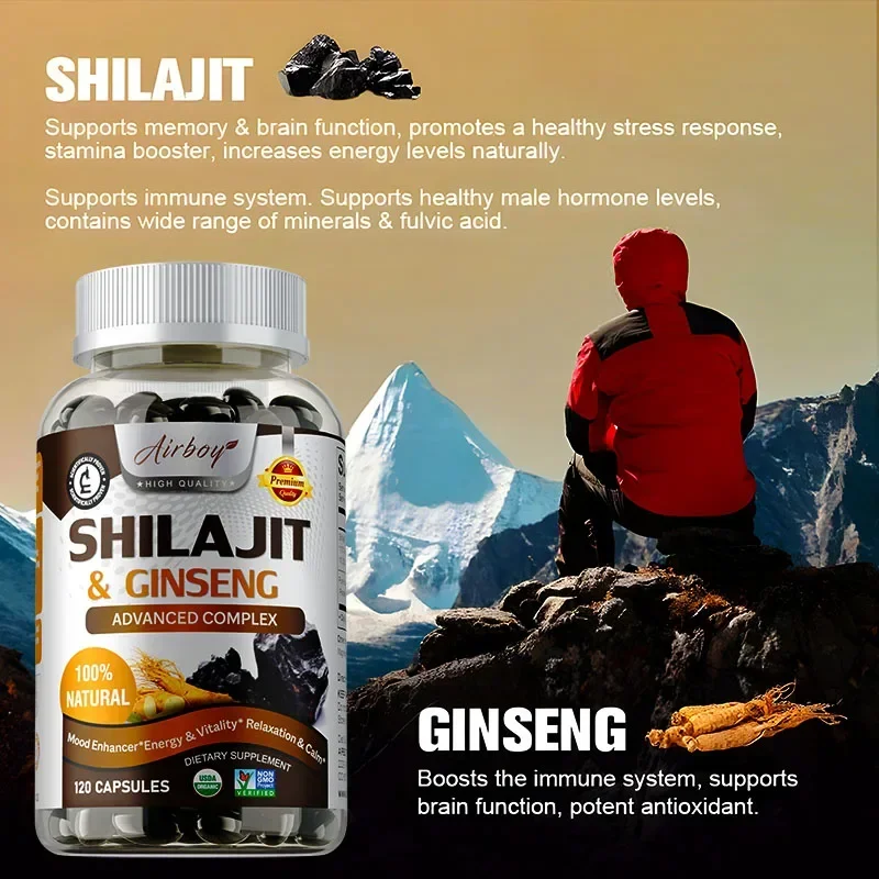 Shilajit & Ginseng - Dukungan  - Ginkgo Biloba Extract ulasan dan harga