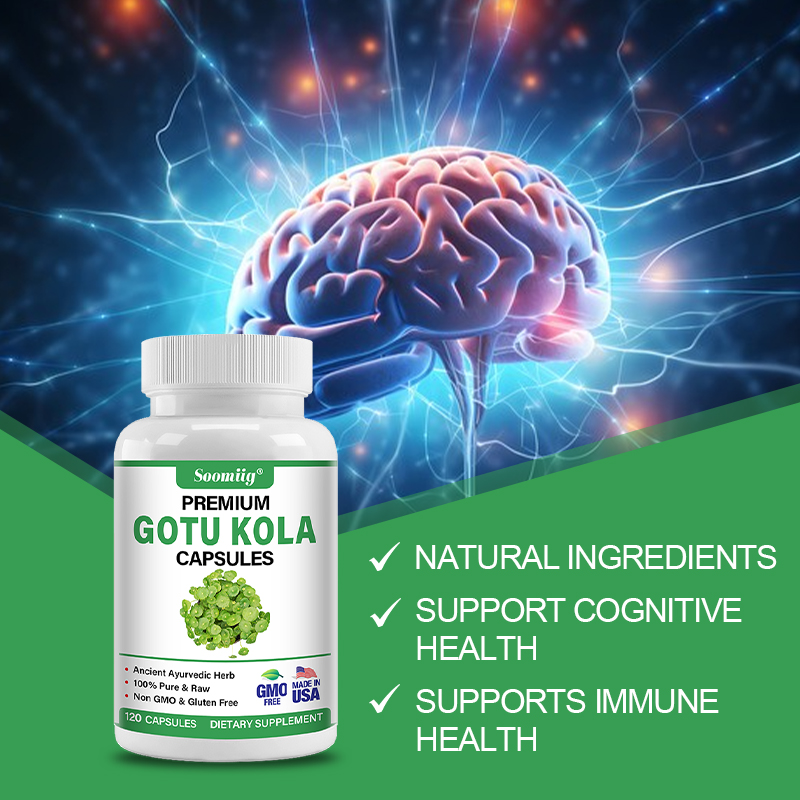 Kapsul Gotu Kola 1300mg - Gink - Ginkgo Biloba Extract ulasan dan harga