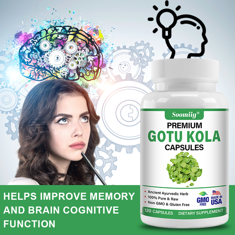 Kapsul Gotu Kola 1300mg - Gink - Ginkgo Biloba Extract ulasan dan harga