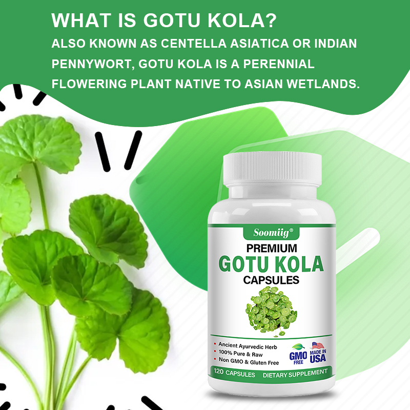 Kapsul Gotu Kola 1300mg - Gink - Ginkgo Biloba Extract ulasan dan harga