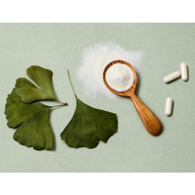Kapsul ekstrak daun ginkgo bil - Ginkgo Biloba Extract ulasan dan harga
