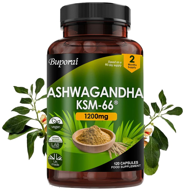 Ekstrak Akar Ashwagandha Organ - Ginkgo Biloba Extract ulasan dan harga