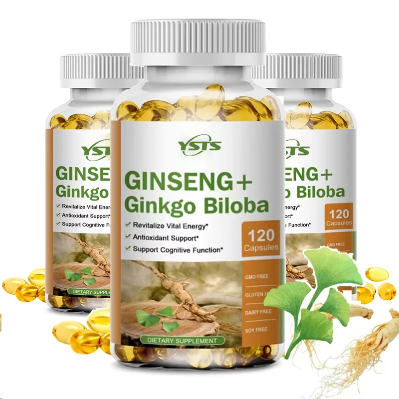 Kapsul Ginseng + Ginkgo Biloba - Ginkgo Biloba Extract ulasan dan harga