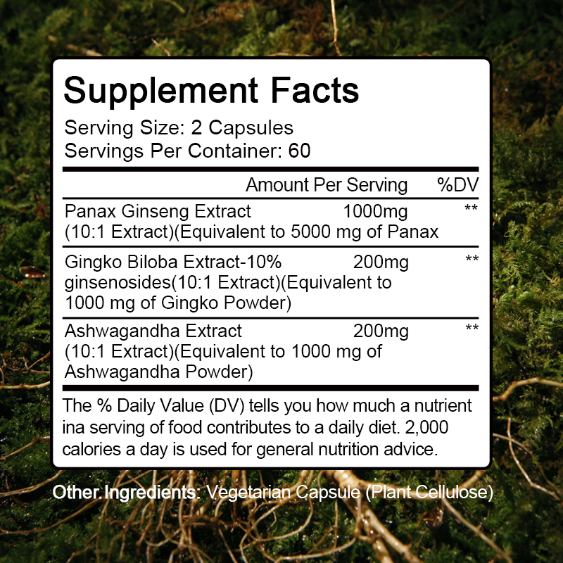 Kapsul Ginseng + Ginkgo Biloba - Ginkgo Biloba Extract ulasan dan harga