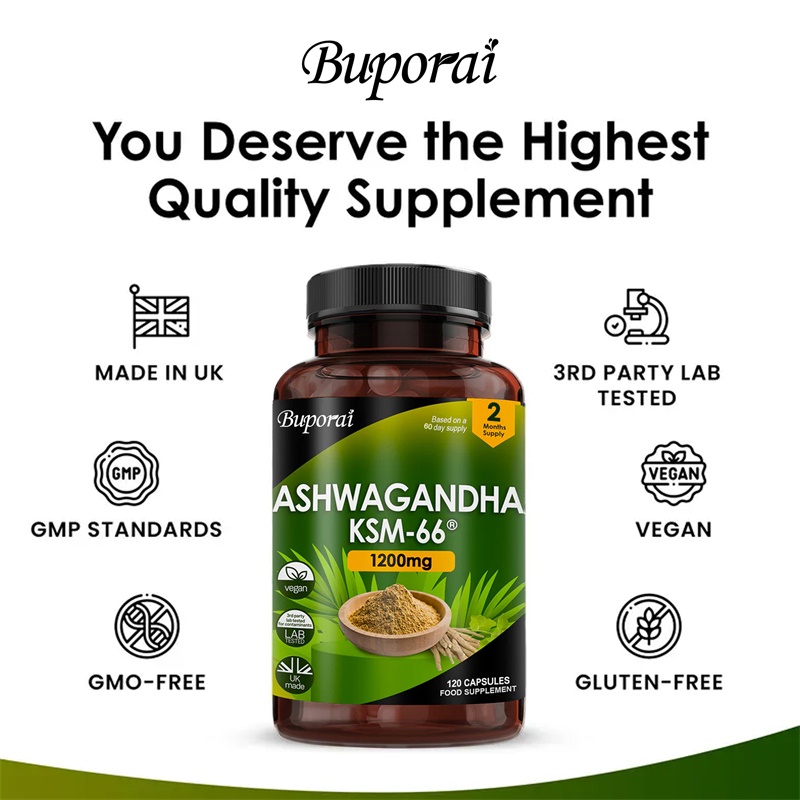 Ashwagandha KSM-66 1200mg - Me - Ginkgo Biloba Extract ulasan dan harga